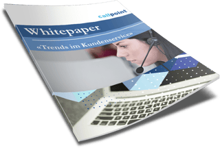 Whitepaper_Kundenservice.png
