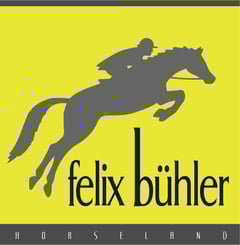 Logo_Felix_Buehler